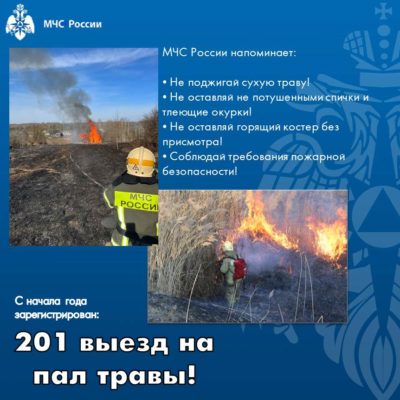 Больше 200 пожаров произошло в Калужской области из-за пала травы