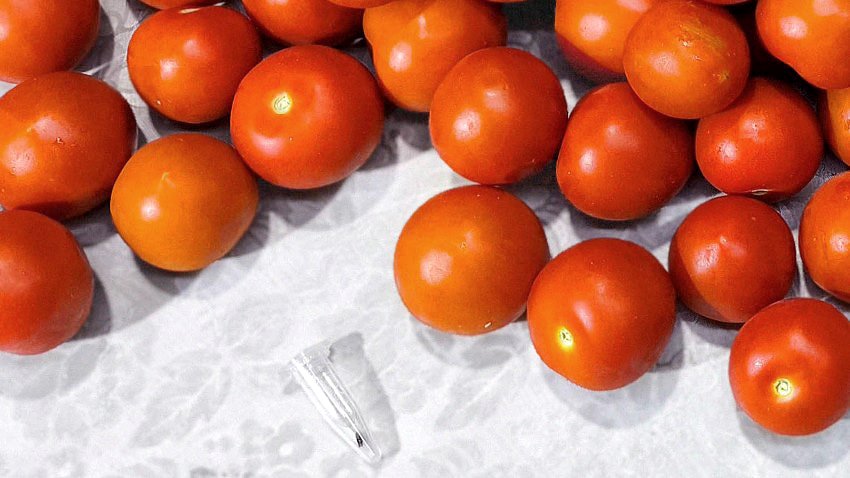 В Калужскую область ввезли траченные молью помидоры