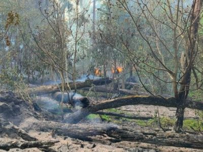 Высокая пожарная опасность в Калужской области сохранится до конца мая