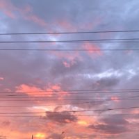 Розовый закат окрасил небо над Калугой