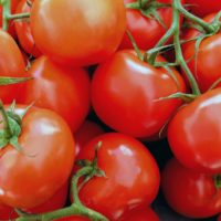 В Калужской области подешевели помидоры и огурцы