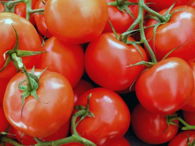 В Калужской области подешевели помидоры и огурцы
