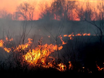 Калужан предупредили о высокой пожароопасности