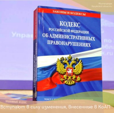 Калужан предупреждают о штрафах  за вырубку лесных насаждений