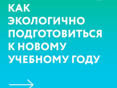 Как экологично подготовиться к учебному году