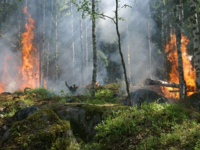 В Калужской области ожидается высокий класс пожарной опасности