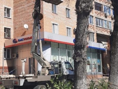 В Калуге продолжается санитарная вырубка деревьев