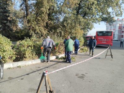 К обрезке деревьев приступили в сквере им. Туликова