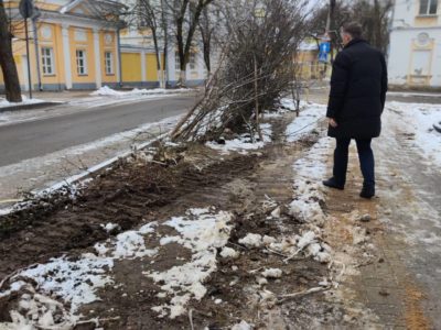 На улице Воскресенской подрядчик погубил яблони и акации