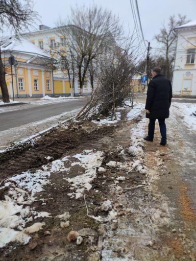 На улице Воскресенской подрядчик погубил яблони и акации