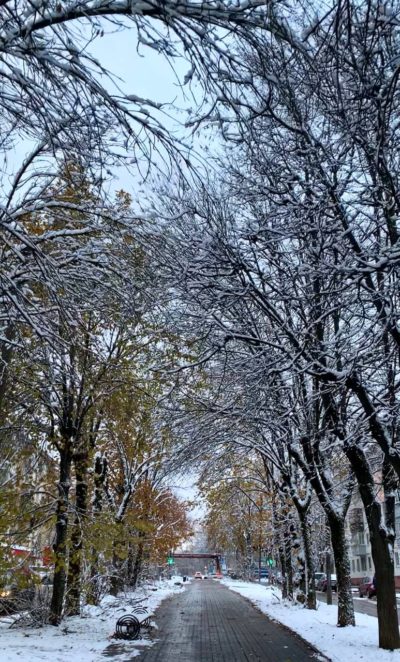 Мокрый снег и гололедица