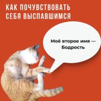 Калужанам посоветовали, как сохранить здоровый сон после январских праздников