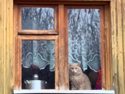 Калужанам рассказали о погоде