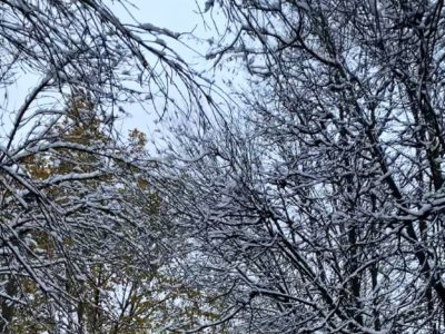 Снежная погода возвращается