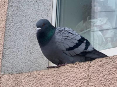 Калужанам рассказали о погоде