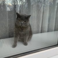 Весна радует солнцем и теплом до +11°C.