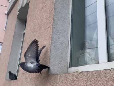 Калужанам рассказали о погоде