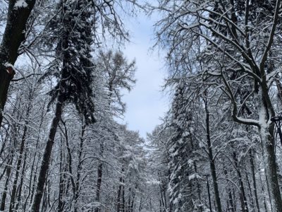 Калужанам рассказали о погоде