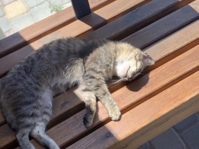 В Калужскую область идет майское тепло