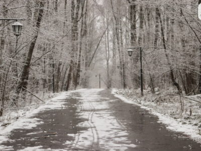 Владислав Шапша предложил калужанам поделиться мыслями о Губернском парке Владислав Шапша предложил калужанам поделиться мыслями о Губернском парке