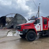74 тысячи цыплят погибли во время пожара на птицефабрике в Калужской области