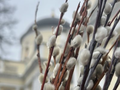 Православные христиане отмечают сегодня Вербное воскресенье