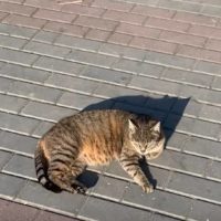 Погода в Калуге