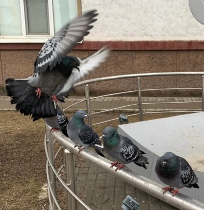 Погода в Калуге