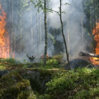 В Калужской области ожидается высокий класс пожарной опасности