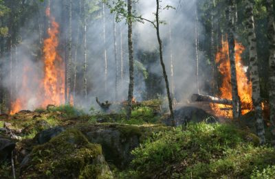 В Калужской области ожидается высокий класс пожарной опасности