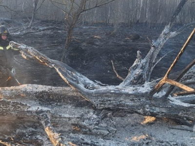 Количество природных пожаров резко выросло