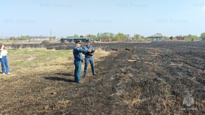 С начала года в Калужской области зарегистрировано более 260 палов травы