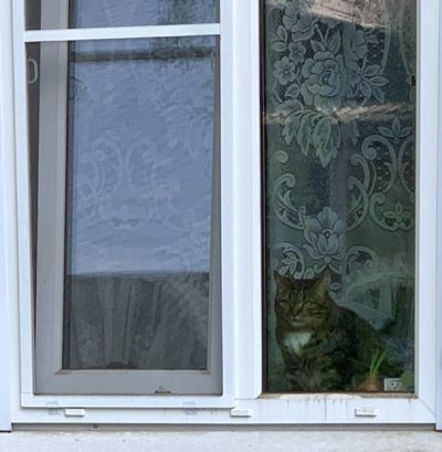 Погода в Калуге