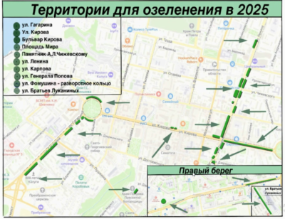 Зеленые насаждения до конца года появятся на девяти улицах и площадях Калуги