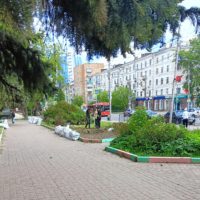 Озеленение Калуги началось с улицы Ленина
