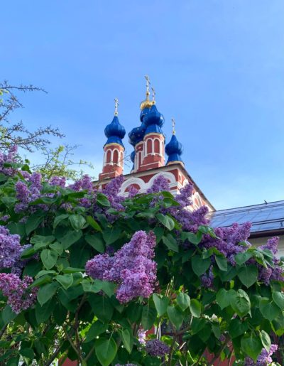 Погода в Калуге