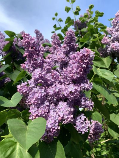 Погода в Калуге Погода в Калуге