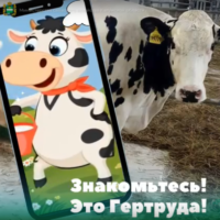 Корова-чемпионка стала талисманом Минсельхоза