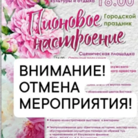 В Калуге из-за непогоды объявлена отмена мероприятий 