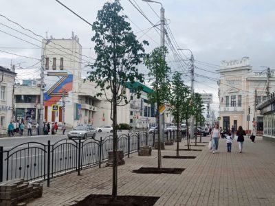 Улица Ленина стала зеленее