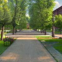 Бульвар на улице Чичерина победил на онлайн-выборах в Калуге
