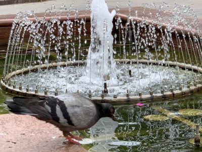 Погода в Калуге Погода в Калуге