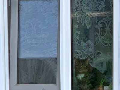 Кратковременные дожди