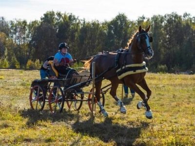 Дарья Боровлёва  ускакала с серебром на Кубке России