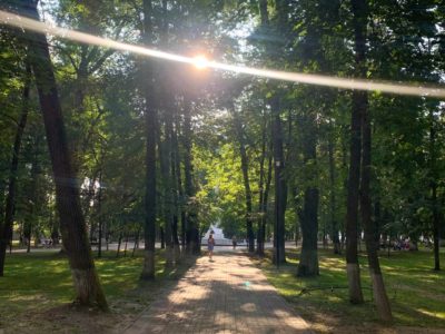 Погода порадует теплом и солнцем