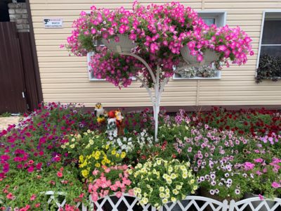 Цветочная симфония