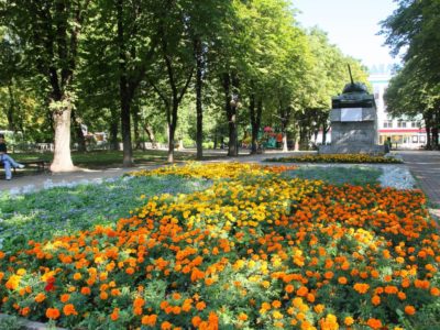 В Калуге высадили 247 тысяч цветов