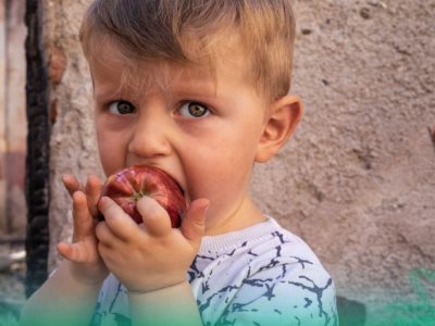 Калужские сады наращивают производство яблок Калужские сады наращивают производство яблок