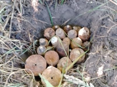 В Калужской области обезврежены найденные поисковиками боеприпасы В Калужской области обезврежены найденные поисковиками боеприпасы