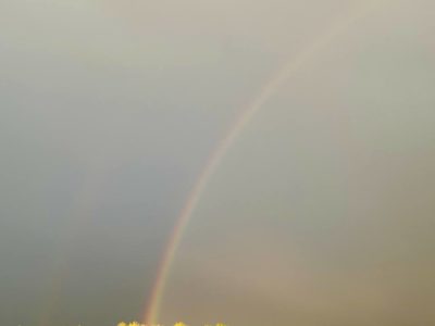 Погода в Калуге